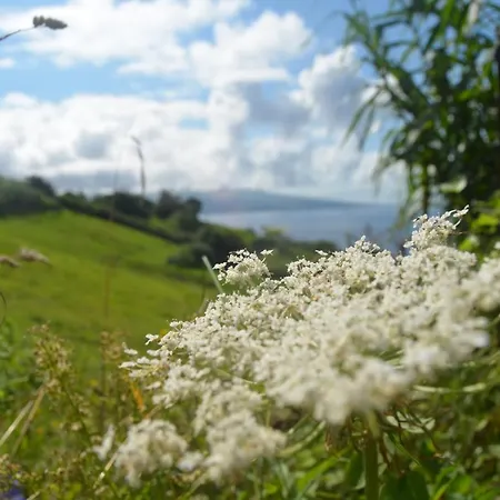 شقة Vista Do Pilar Conceicao (Faial)