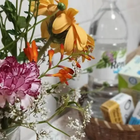 Vista Do Pilar شقة *