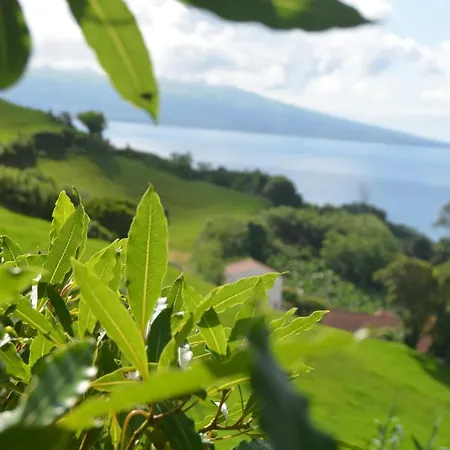 شقة Vista Do Pilar