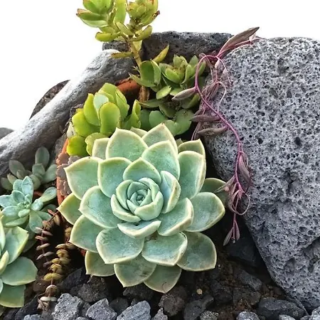 Vista Do Pilar Apartment