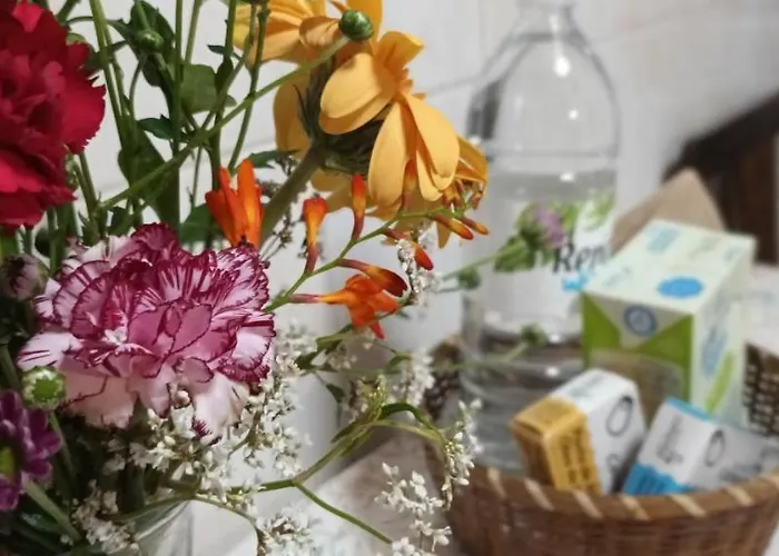 Vista Do Pilar Apartment *