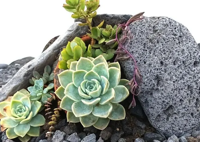 Vista Do Pilar Apartment